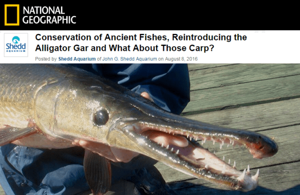 MOD - Shedd NatGeo - ALG - SRD TWITTER